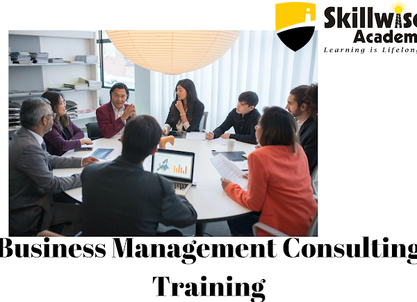 Skillwise Academy’s Business and Management Consulting Domain Training Program