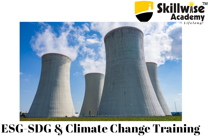 Skillwise Academy’s ESG-SDG and Climate Change Training Program