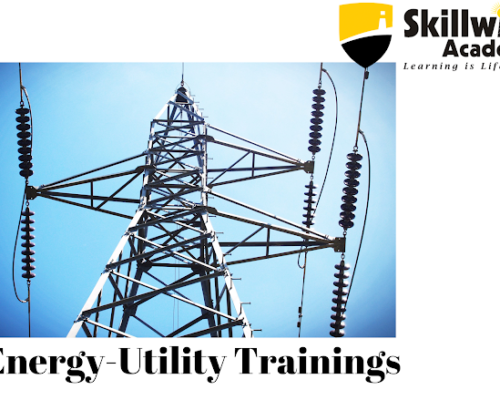 Skillwise Academy’s Energy and Utility Domain Training Program
