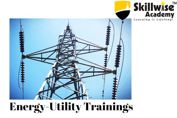 Skillwise Academy’s Energy and Utility Domain Training Program ...