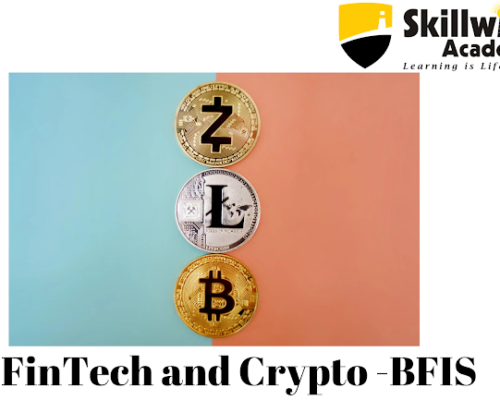 Skillwise Academy’s FInTech Crypto, Banking and Finance Training Program