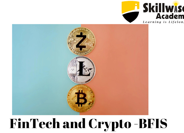 Skillwise Academy’s FInTech Crypto, Banking and Finance Training Program