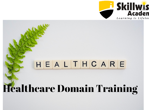 Skillwise Academy’s Healthcare Domain Training Program