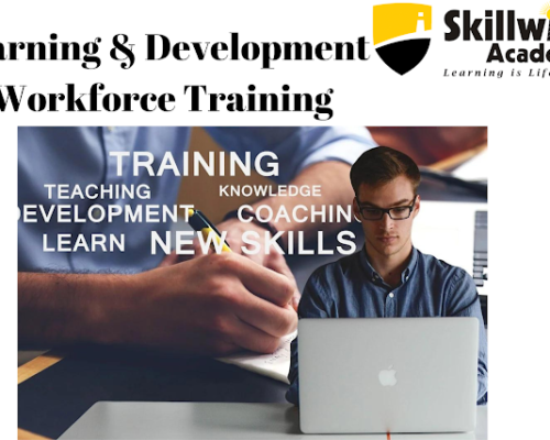 Skillwise Academy’s Learning and Development – Workforce Development Training Program