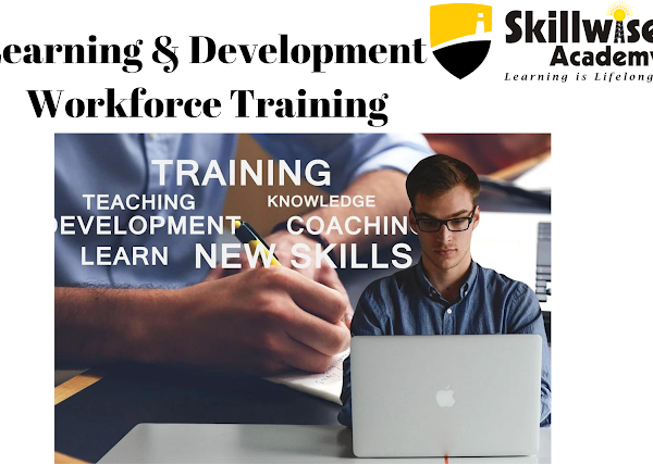 Skillwise Academy’s Learning and Development – Workforce Development Training Program