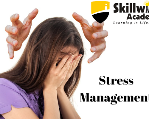Skillwise Academy’s Stress Management Training Program